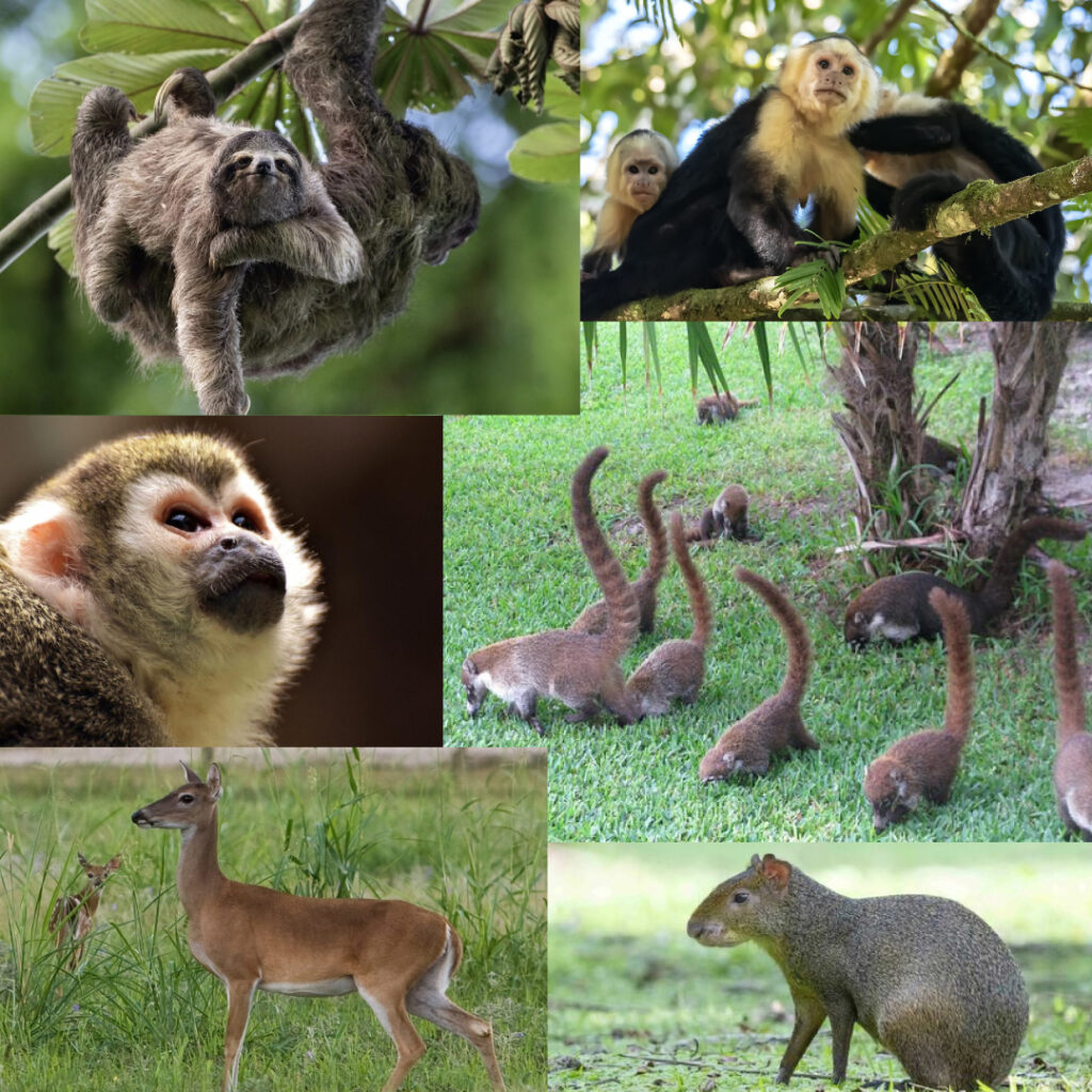 Experiencias Tucán Country Club